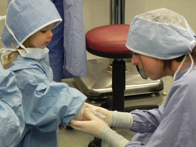 Lessons With My Little Ones Madeline