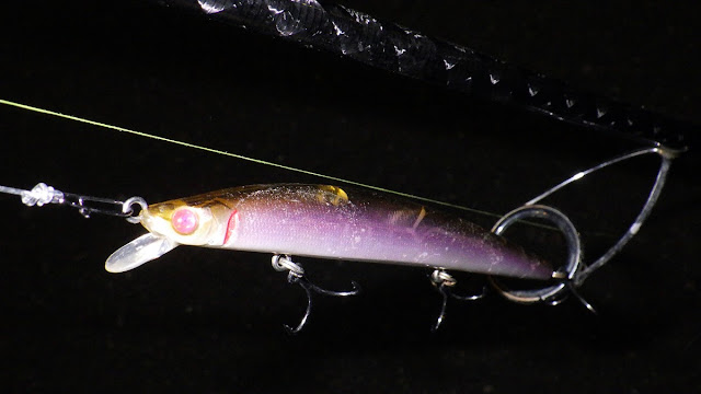 シーバス 湾奥 X120SW シーバス 湾奥 X120SW