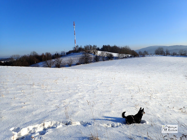 Klasztorzysko 631 m n.p.m. - Sudecki Włóczykij