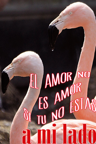El amor no es amor si tu no estas a mi lado. El amor no es amor si tu no estas a mi lado.