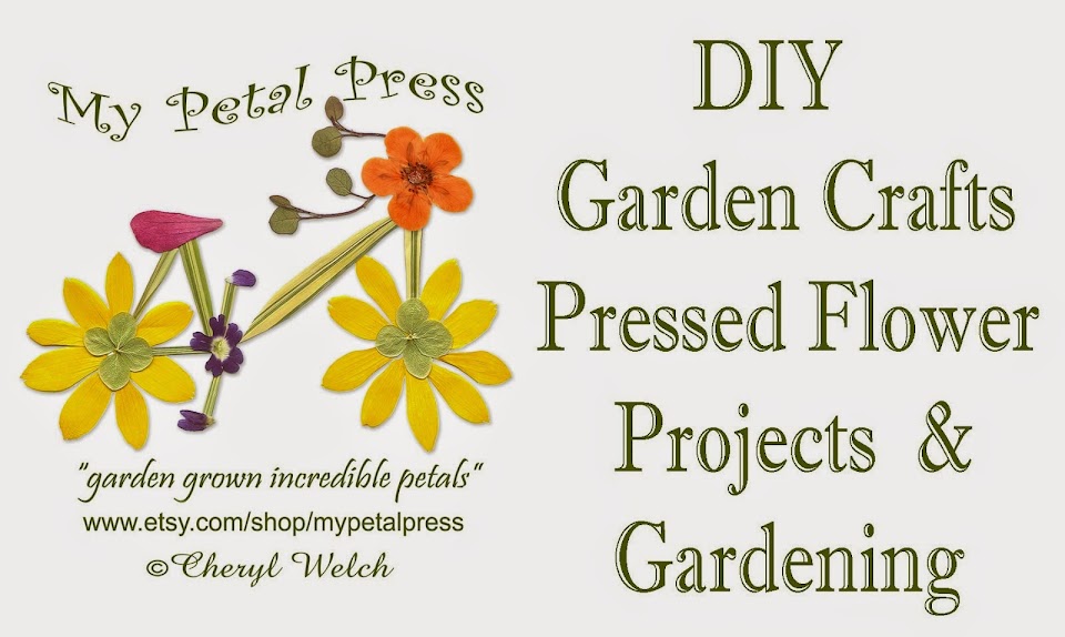 My Petal Press Garden Blog
