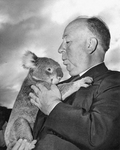 Alfred Hitchcock with a koala bear at the Sydney Zoo