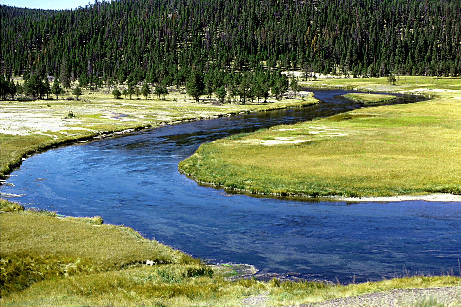 Fly Fishing In Yellowstone National Park For The Faithful