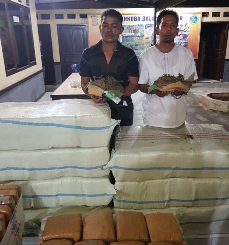 Dua dari tiga tersangka pelaku pembawa 400 kg daun ganja kering dari Aceh yang mau dibawa ke Jakarta. Salah satu dari ketiga tersangka merupakan warga Batubara. Dua dari tiga tersangka pelaku pembawa 400 kg daun ganja kering dari Aceh yang mau dibawa ke Jakarta. Salah satu dari ketiga tersangka merupakan warga Batubara.