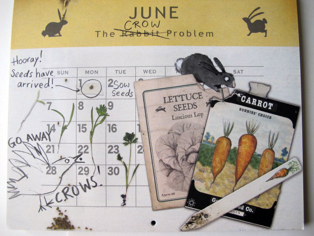 Ilma's illustrations: The Rabbit Problem by Emily Gravett