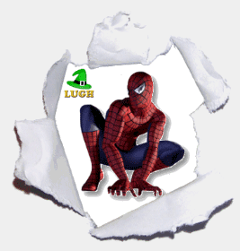 Homem Aranha