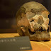 Учени установиха възрастта на древни черепи, открити близо до границата на Китай с Монголия и Русия