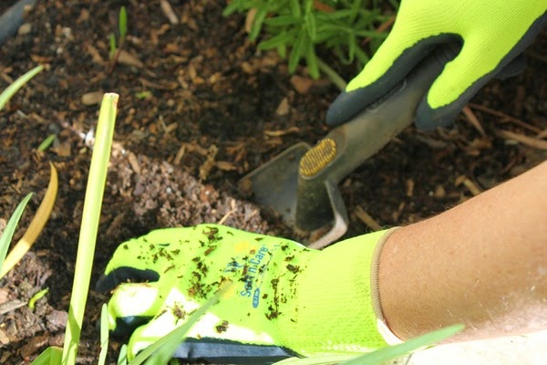 Multipurpose Gloves for DIY and garden