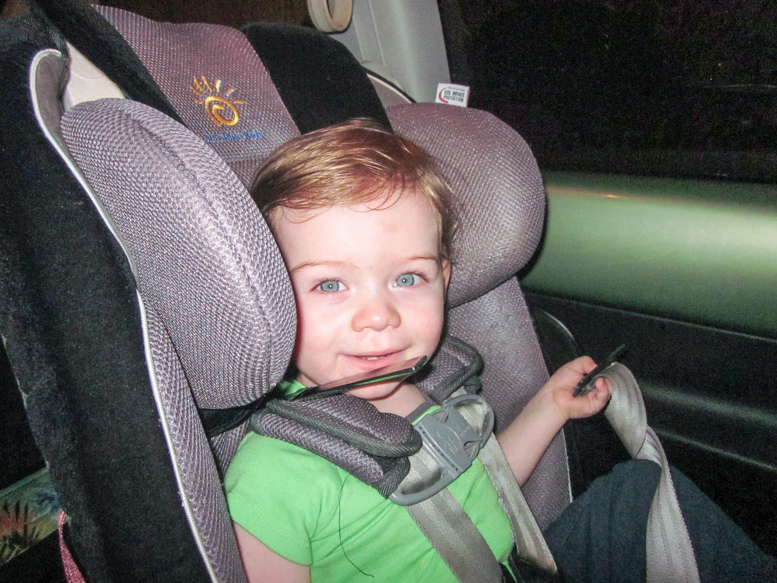 Buckle Up, Buttercup! The Ins and Outs of Proper Harnessing