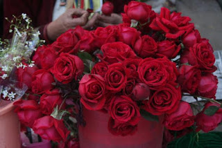 गुलाब के फूल फोटो, गुलाब का फूल फोटो डाउनलोड, गुलाब का फूल डाउनलोड, दिल के फोटो, गुलाब शायरी, गुलाब फूल की खेती, गुलाब के फूल के उपयोग, कमल के फूल, फूल गुलाब