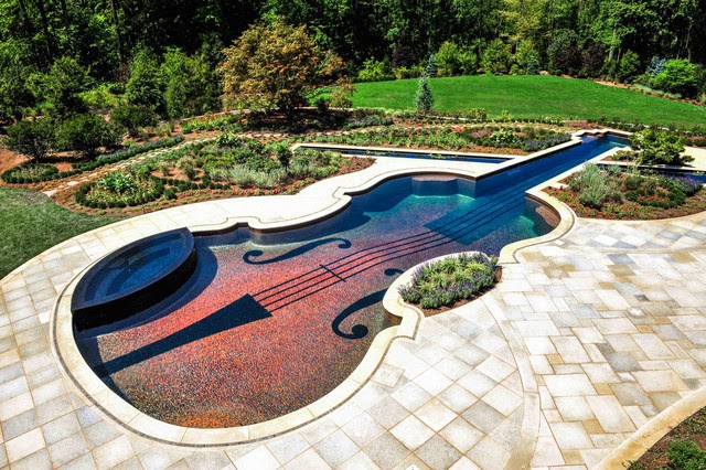 Stunning backyard swimming pool