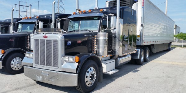 champion truck lines champion