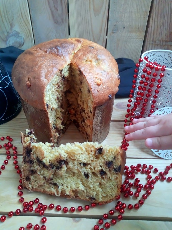 Panettone de calabaza con chocolate y naranja confitada. Receta navideña. Desayuno, merienda, postre. Muy esponjoso. Sin masa madre. Sin prefermento. Cuca