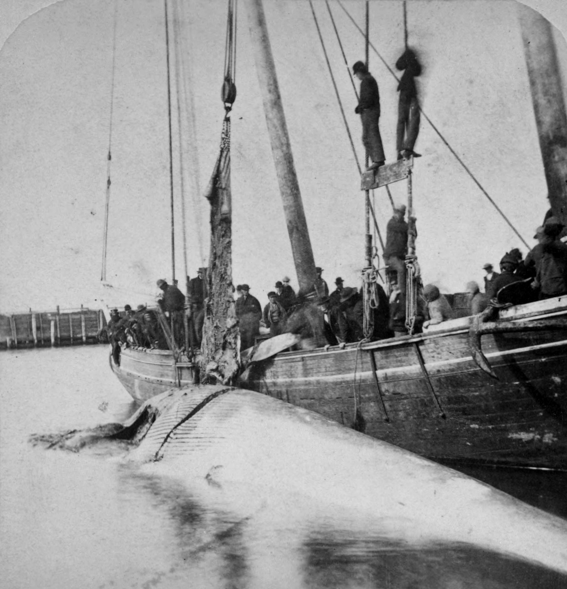 The Chubachus Library of Photographic History March 2016