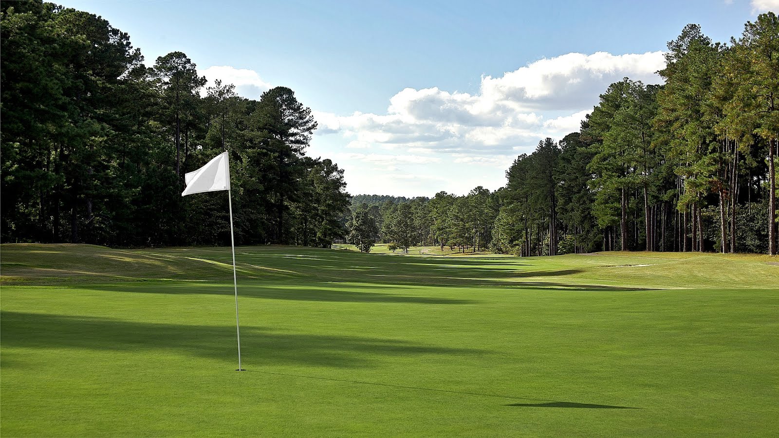 Foxfire, North Carolina Fire Choices