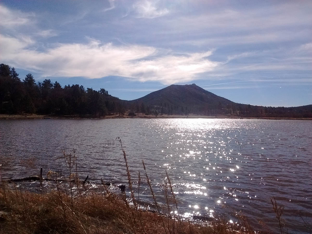 Birding Site Guide to Stonewall Mine and Lake Cuyamaca Greg in San Diego