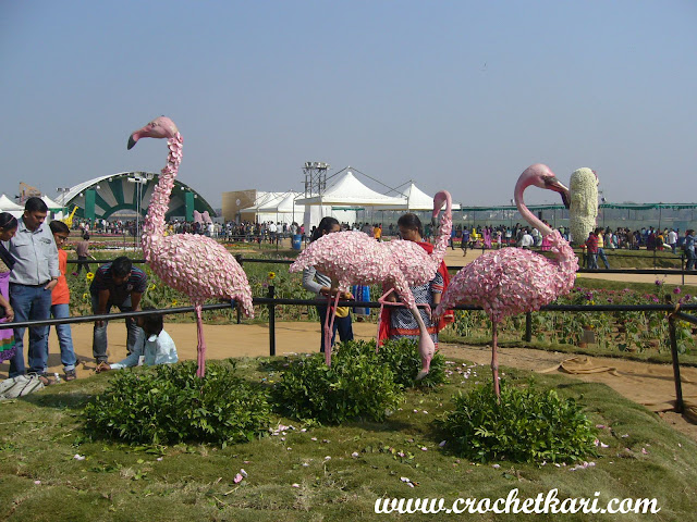 Ahmedabad flower show