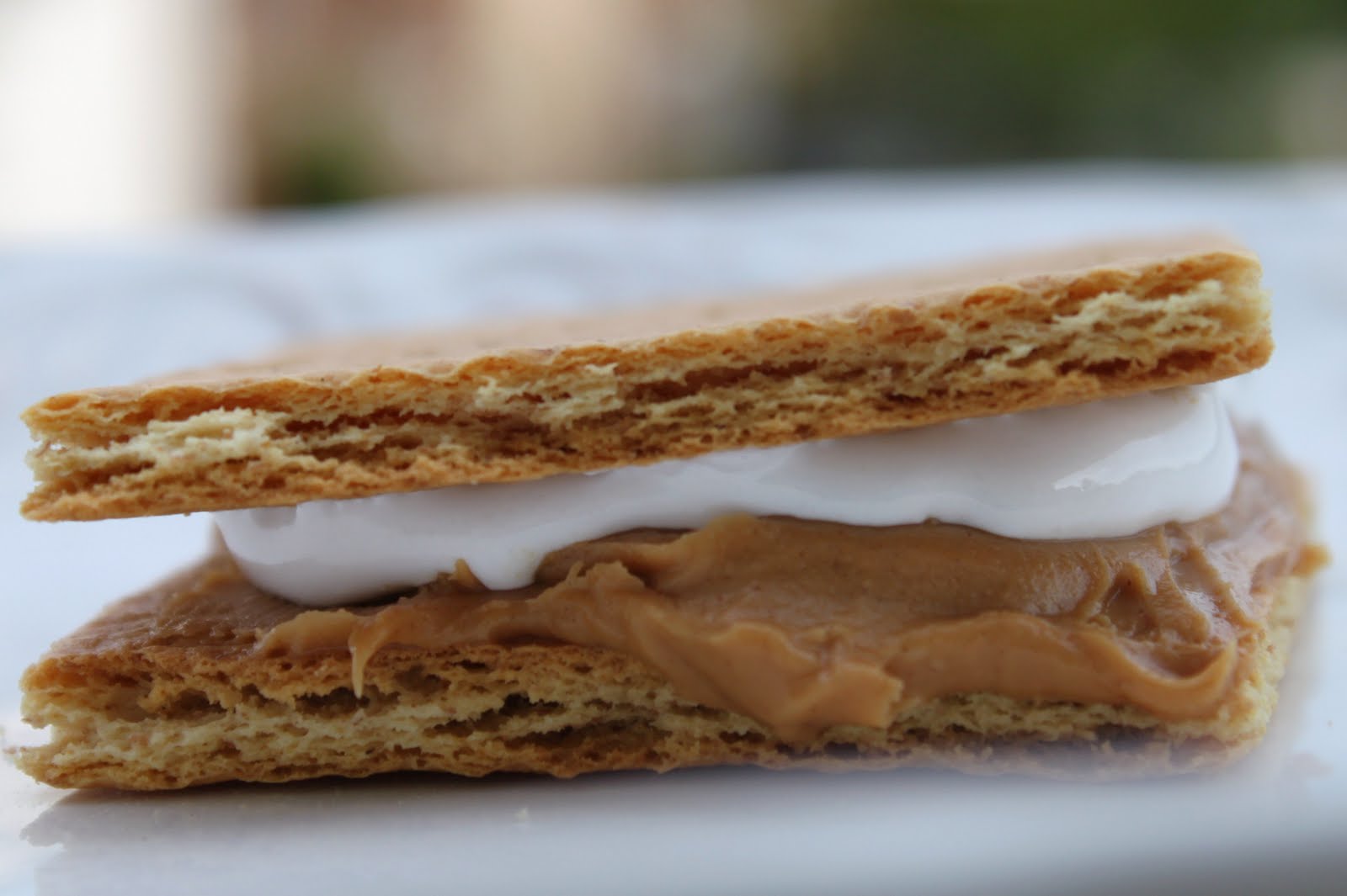 The Neurotic Housewife FlufferNutterElla