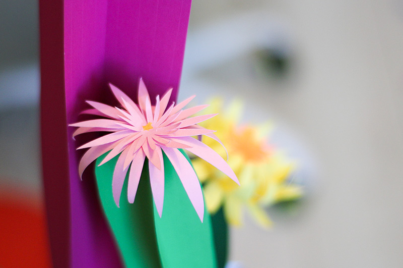 zoom paper flower cactus détail d'une fleur en papier découpé du cactus