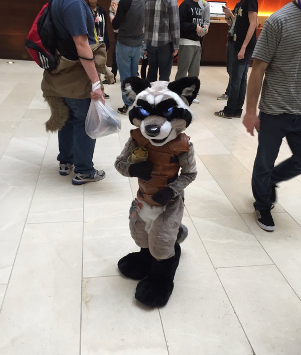 the-fur-side-awesome-suits