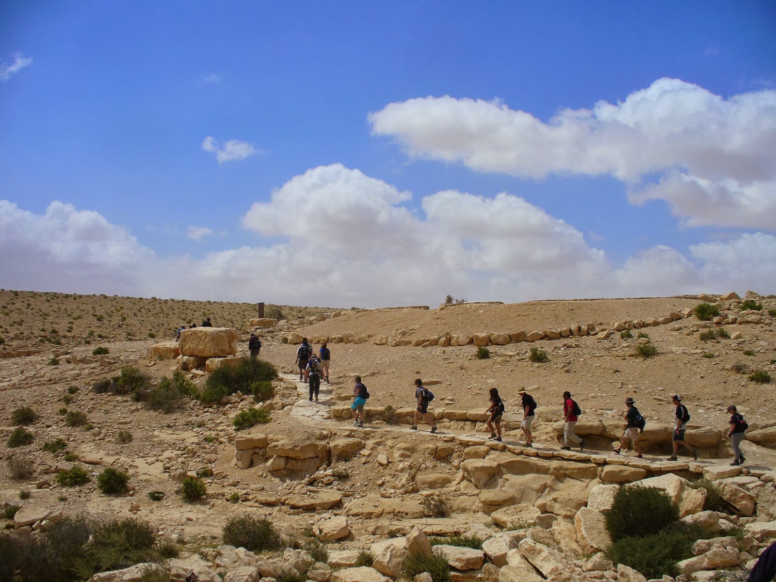 A Girl A Blog A Grand Adventure Israel Day 2 Wilderness Of Zin