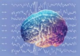 Σκέψεις ενός ελεύθερου μυαλού : Οι συχνότητες και ο εγκεφαλος