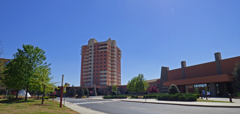 casino8: This Is What Professionals Do