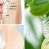 Simple and Natural Way To Make Your Private Part Muscles Tight And Small