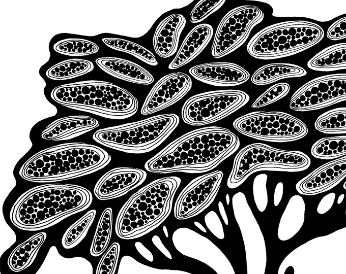 Black & White Tree Print - Printable Wall Art - Graphics - Tree poster