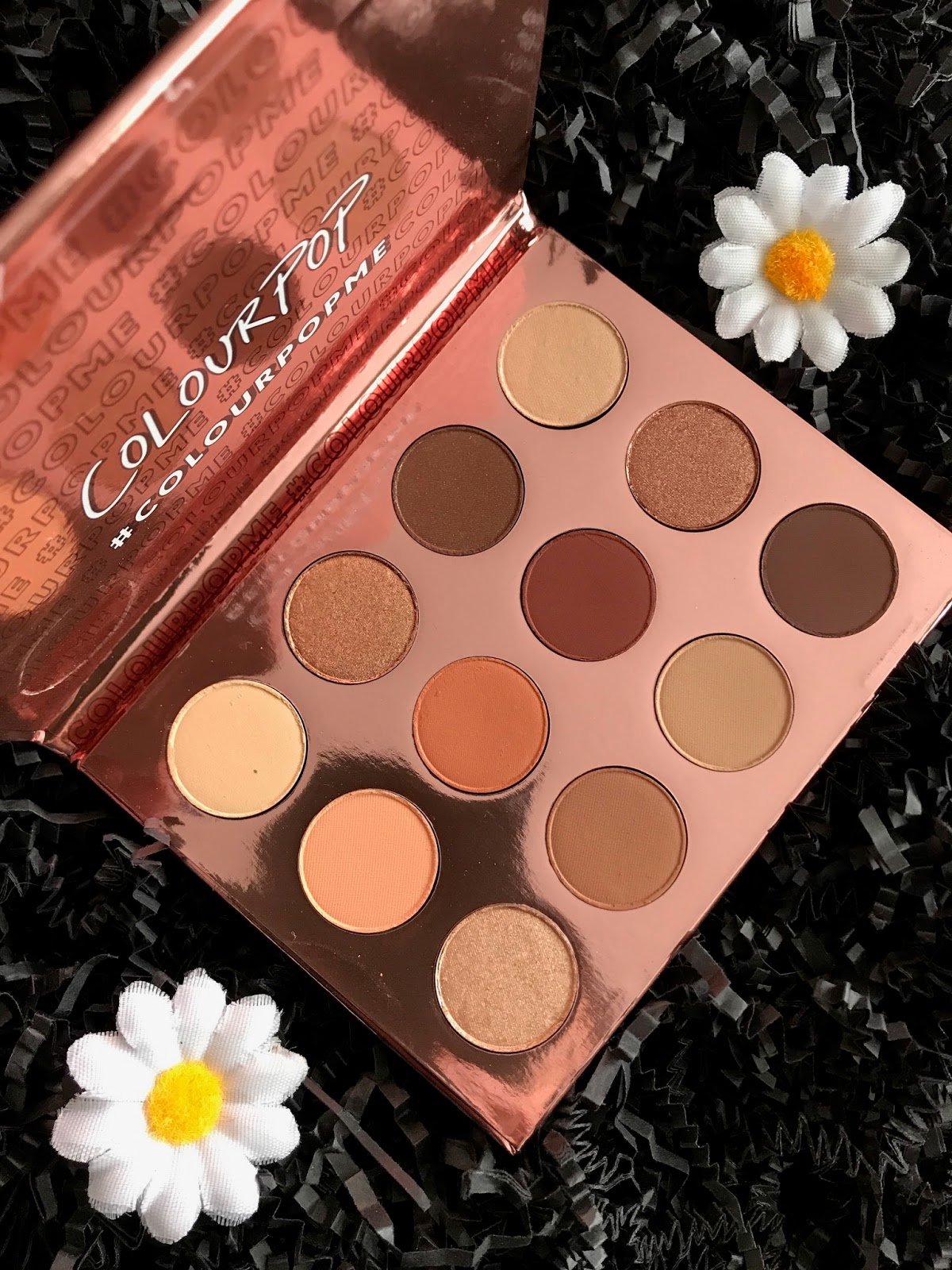 ColourPop Double Entendre Palette Review & Swatches | RED ...