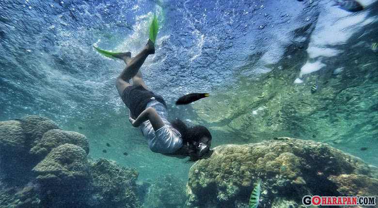 menikmati keindahan bawah laut pulau harapan selama wisata satu hari di pulau harapan paket wisata satu hari di pulau harapan