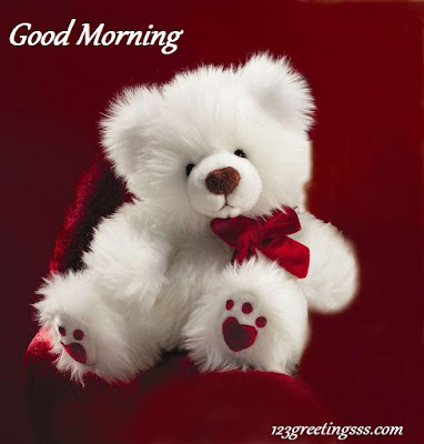 teddy bearteddy bear teddy bear