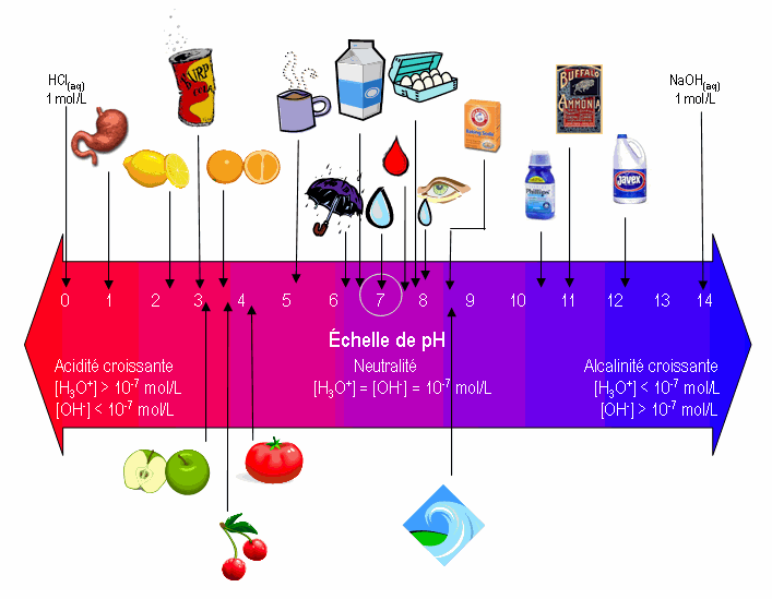 TETE EN L'HAIR ET HAIR DU TEMPS: Importance du PH dans la fabrication ...