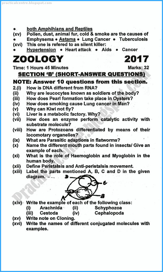 zoology research paper topics