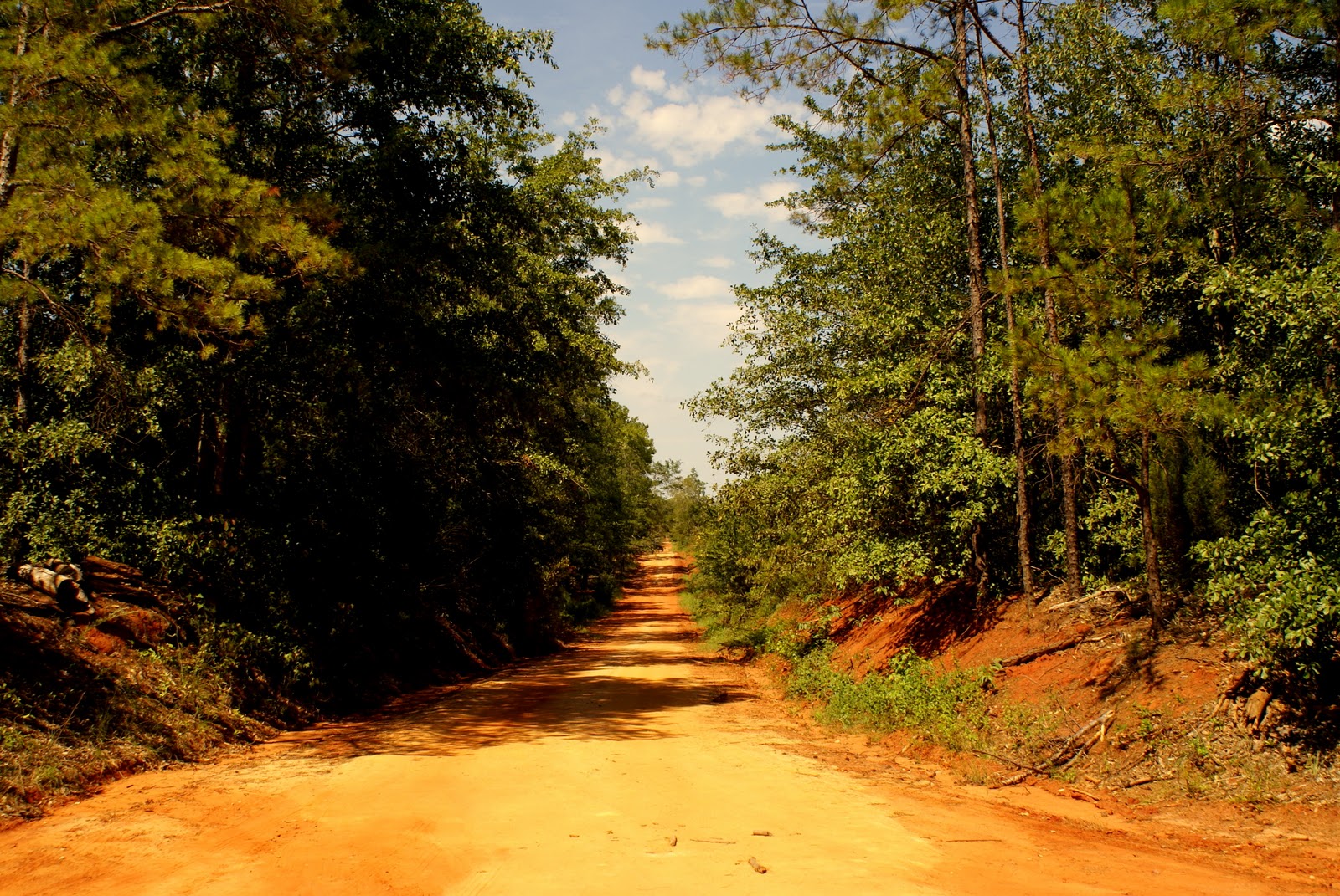 I Am Woody Tour of Southwest