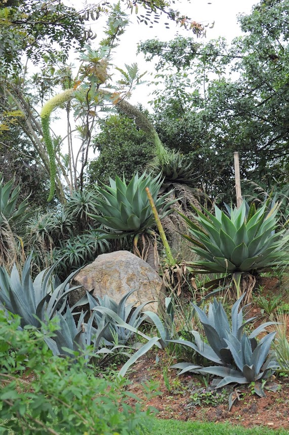 El Jardin Botánico es un sitio para hacer turismo en Bogotá