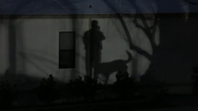 me and my shadow