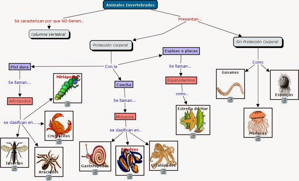 BIOLOGÍA Y GEOLOGÍA 1º ESO: LOS ANIMALES INVERTEBRADOS