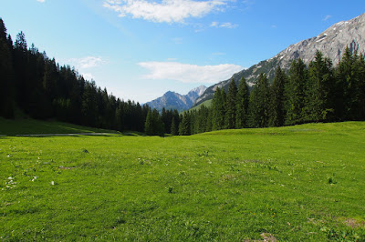 Grassland Ecosystem Grassland Ecosystem