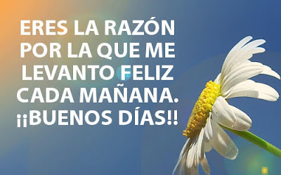 frases de buenos dias para mi novia mensajes de buenos dias para mi novia