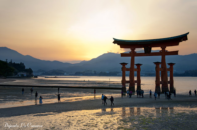 Japón primavera 2016 - 18 días (con bajo presupuesto) - Blogs de Japon - Día 16 - Hiroshima y Miyajima (24)