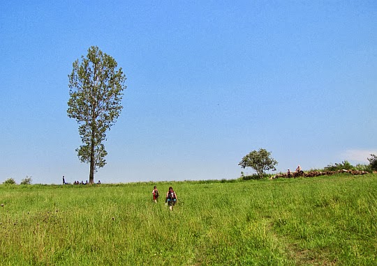 Przed wierzchowiną wzniesienia.