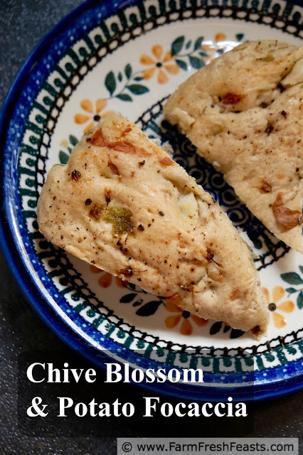A seasoned and seasonal bread, this chive blossom focaccia is spiced with roasted chiles and chunks of potato. This savory Spring bread is great with a bowl of light soup or along side a simple grilled dinner.