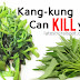Be Careful KANGKoNG Can Kill You!