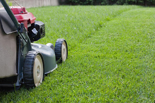 Lawn mower and half cut lawn. Lawn mower and half cut lawn.