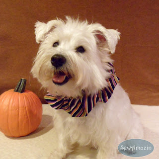  Halloween Dog Scrunchie Ruffle, Diagonal Stripes