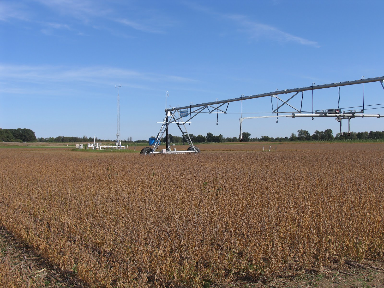 A VUELO DE UN QUINDE® EL BLOG !!!!! .. Agriculture Scientists