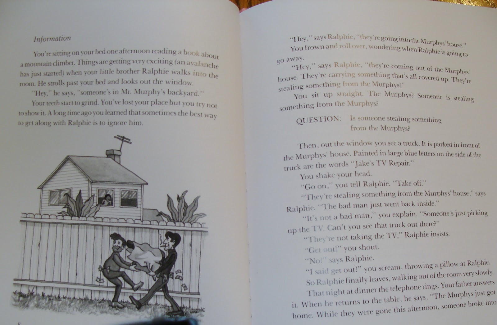 Enid bagnold national velvet picture