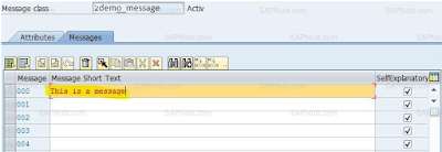 How to create SAP ABAP Error Message Class