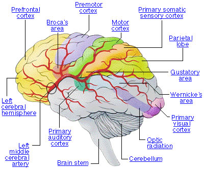 what are the after effects of having a stroke what are the after effects of having a stroke